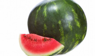 一棵西瓜苗能结几个瓜（西瓜苗一株能结几个西瓜）