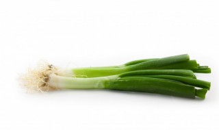 葱烂根怎么补救 葱烂根应该怎么补救