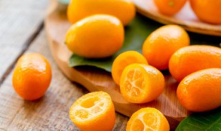 金桔树怎么养能结果（金桔树怎么养能结果多）