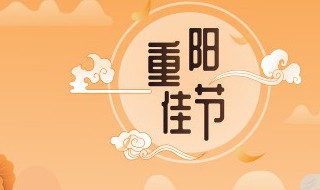 代表重阳节的花是什么花(代表重阳节的花是什么花图片)