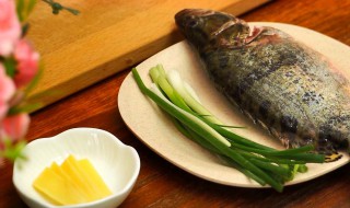 桂鱼怎么吃 桂鱼怎么吃营养最好