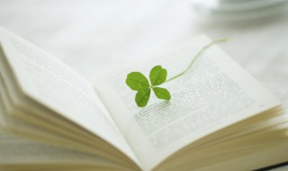 简短走心的情话（简短走心的情话十字内）