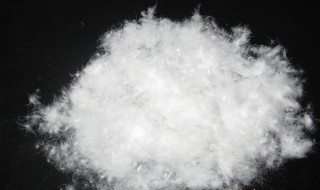 白鸭绒和白鹅绒哪种好(白鸭绒和白鹅绒哪种好看)