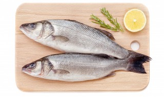 海鲈鱼和淡水鲈鱼哪个贵 淡水鲈鱼和海水鲈鱼哪个贵