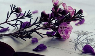 特别高冷的网名