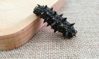 正宗葱烧海参的做法 正宗葱烧海参的做法和配料