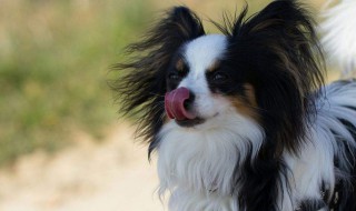 调皮的午安语 调皮开心午安句大全