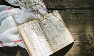 春秋左传正义的各种注释是什么意思 春秋左传正义的各种注释是什么含义