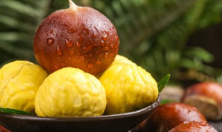 水煮栗子怎么煮 水煮栗子的做法