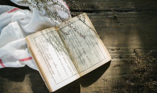 代人说项是什么意思 为人说项是什么意思