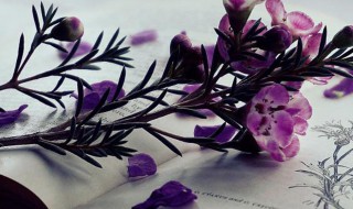 高端好听的微信名字 高端好听的微信名字男