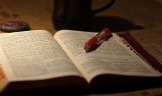 女人高雅温柔名字 女人高雅温柔名字抖音