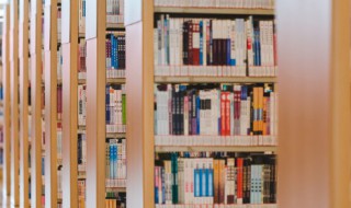 嶷然的意思是什么（嶷嶷是什么意思）