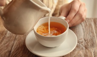 奶粉怎么做奶茶(奶粉怎么做奶茶吗)