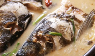 包头鱼怎么烧好吃（包头鱼怎么烧好吃不腥）