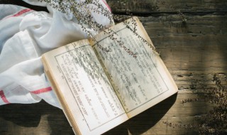 百宝万货是什么意思（百宝的意思）