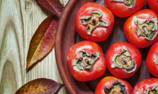 懒柿子水温多少度合适（懒柿子的水温是多少度）