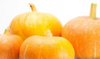 大南瓜和小南瓜的区别 大南瓜跟小南瓜的区别