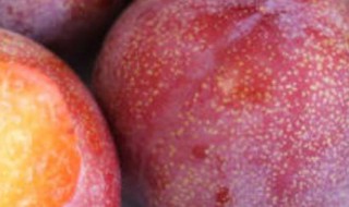 黑布林怎么保存（黑布林怎么保存?）