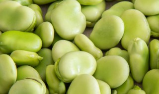 新鲜蚕豆怎么保存（新鲜蚕豆怎么保存放冰箱）