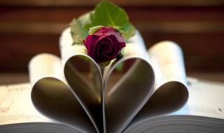 温柔到爆的短句（温柔到爆的短句子）