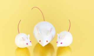 梦到老鼠咬我是什么意思(梦到老鼠咬我是什么意思解梦)