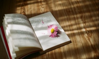 谵怎么读 谵怎么读组词