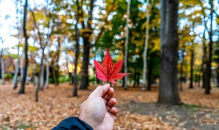 秋天文案短句干净治愈 秋天文案短句干净治愈图片