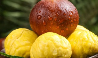 生栗子剥皮的快速方法 生栗子剥皮的快速方法视频