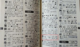 满天飞是什么意思 双红十满天飞是什么意思