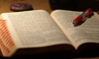 聪明优雅大方的女孩名字（聪明优雅大方的女孩名字大全）