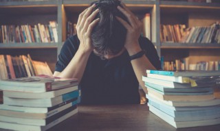 赡组词 赡组词和拼音