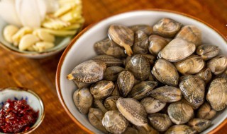 花蛤怎么读（花蛤怎么读拼音）