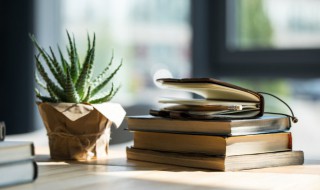 僚怎么读 专诸刺王僚怎么读