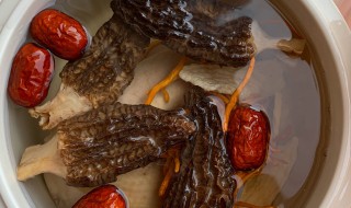 羊肚菌煲鸡汤做法 羊肚菌煲鸡汤做法大全