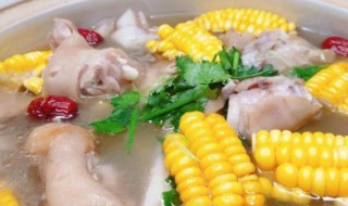 冬天滋补菜（冬天滋补菜的介绍）