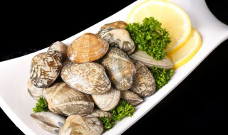 花贝的做法 花贝的做法视频蒸贝需要多长时间