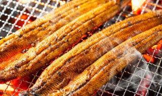 锡纸烤鱼的制作方法和配料（锡纸烤鱼的制作方法和配料视频）