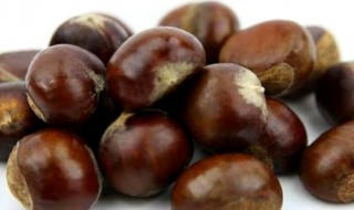 生栗子怎样存放才能保存好久（生栗子怎么保存能保存多久）