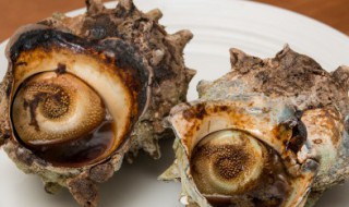海螺的做法蒸多长时间 海螺的蒸几分钟