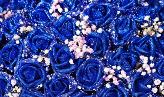 蓝色妖姬花束文案（蓝色妖姬花语文案）