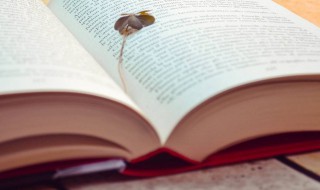 女士微信名字大全 女士微信名字大全英文