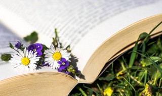 女人高雅气质微信名字 女人高雅气质微信名字三个字