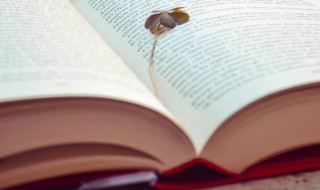 好听容易记的微信名字 好听容易记住的微信名字