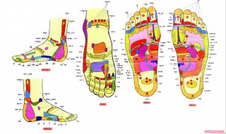 悬钟为什么叫绝骨 悬钟与绝骨的区别