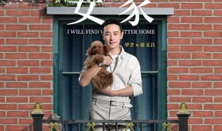 2020年电视剧安家在哪个台播放（安家 2020年 电视剧）