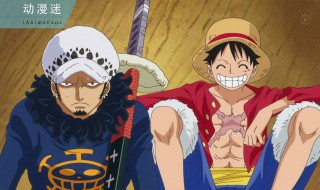 路飞团队里有多少恶魔果实（海贼王路飞团队恶魔果实）