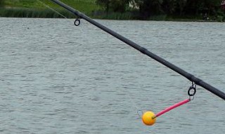 单钩正确钓法 单钩正确钓法图解