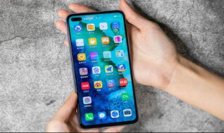 vivo手机webview加载不出来 vivo手机打不开网页