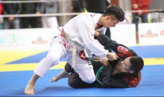 综合格斗规则(综合格斗规则介绍)